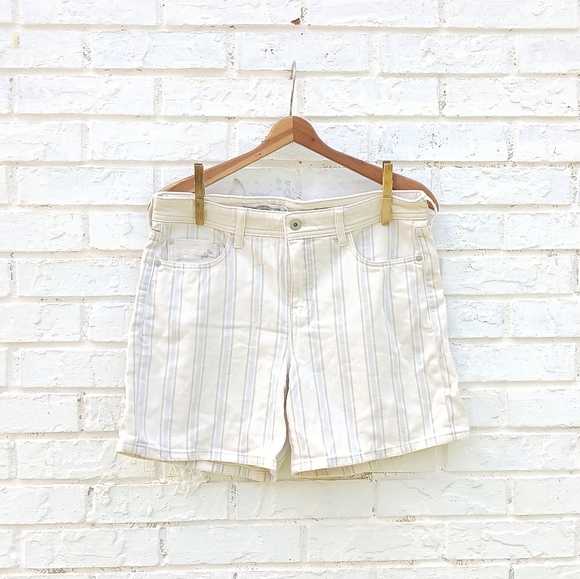 Anthropologie Pilcro Stripe Denim Slim Boyfriend Shorts - Picture 1 of 9